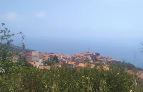 La casa rosa - Foto 18