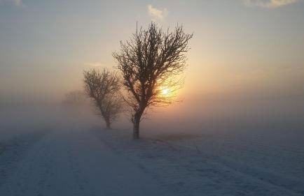 FeWo Schöna45 - Foto 23