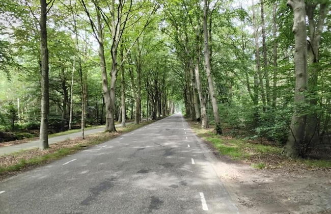 Country House with Terrace near Langweerder Wielen - Foto 35