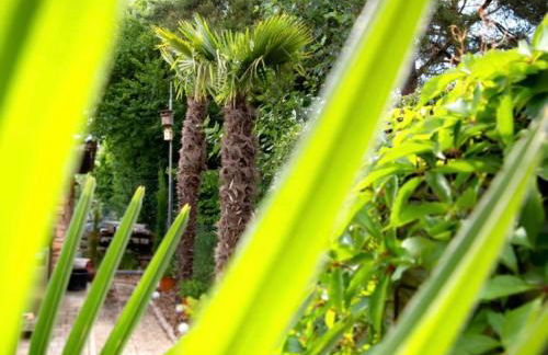 Ferienwohnung Am Palmengarten - Foto 26