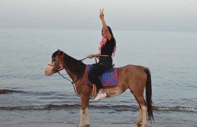 Passeio a cavalo pela costa de Sharm el-Sheikh - Foto 5