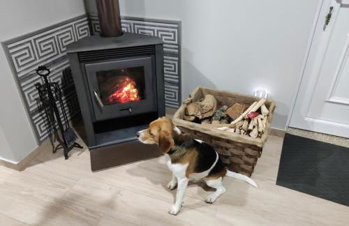 Casa da Eirinha - Azibo - Foto 10