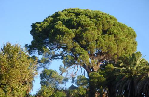 Villa Iolanda-Sive Natura Wine&House - Foto 33