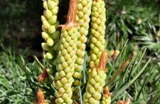 Leśniczówka Zielone Zakole - Foto 63