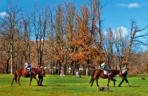 ΑΡΧΟΝΤΙΚΌ Μουζάκι ΚΑΡΔΙΤΣΑ ΤΡΙΚΑΛΑ - Photo 65