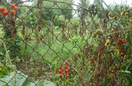 Apartment Mia - Foto 56