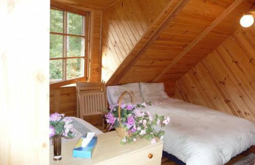 Anglo-Polish Holidays - Foto 26