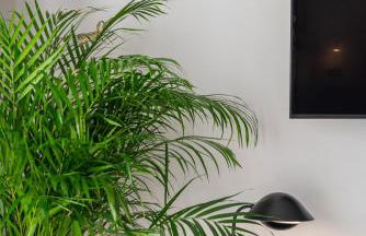 Memphis Suites Kos Center - Photo 78