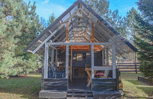 Metai Miške&a Year in the Forest - Photo 19