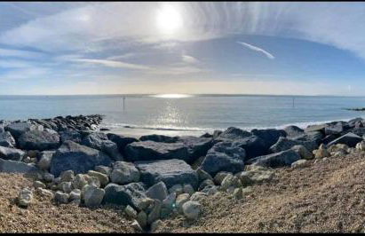 The Salty Bee - Photo 20