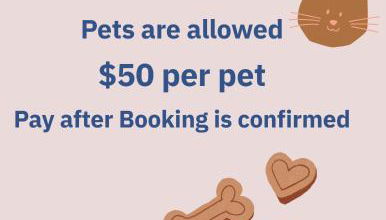 Entire Private Studio with 1 King Bed, Full Kitchen, Gated Yard, Available Now - Foto 5