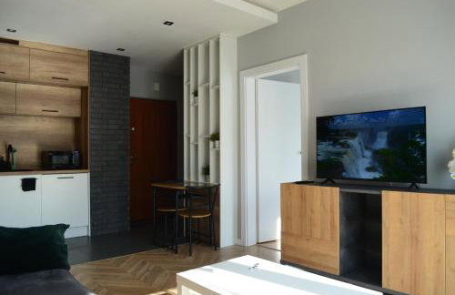 Apartment Sosnowiec City - Free Parking - easy check-in - Photo 1