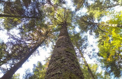 Ferienwohnung Schuhmacherwerkstatt Wilhelm Wendel - Photo 27