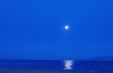 Aegean View Seaside Apartment - Photo 22