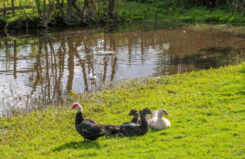 Chequer Stable - Photo 20