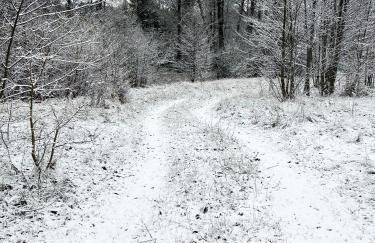 Masuria Warsaw Family - dom na wyłączność - w lesie i przy rzece - 15 min od Warszawy - idealny dla rodzin z dziećmi - Foto 65