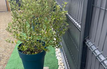 À l’aise Belz, évadez-vous - Foto 13