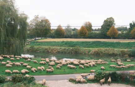 Maison Maa , corps de ferme en entier, à 10 min de Saint Valery sur Somme à pieds le long du canal - Foto 47