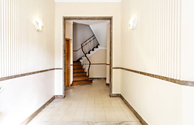 Blue Peacock in Faro - Photo 19