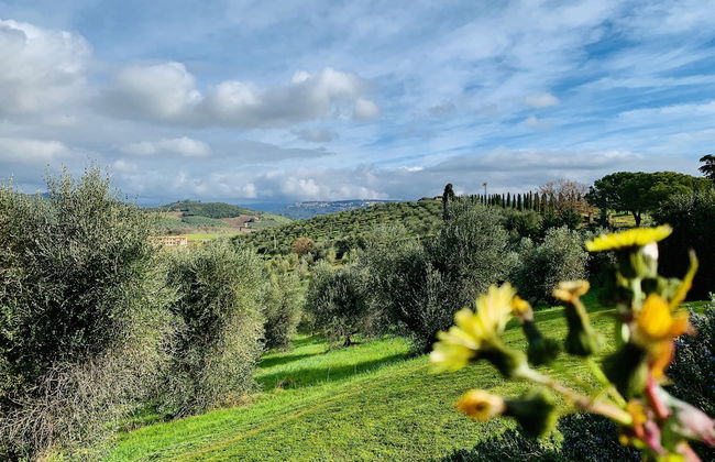 Tenuta Agricola Fraschiera - Foto 58