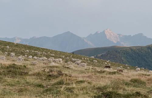 CHALET 4 Le Cerf - Foto 38