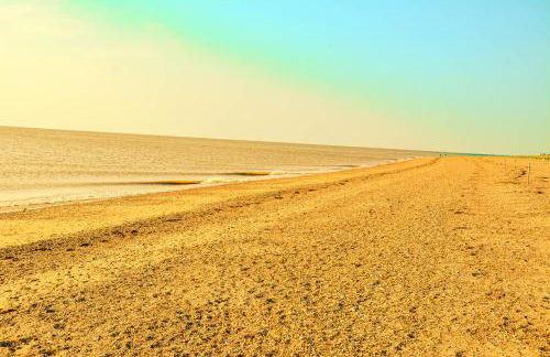 beautiful eco-beach house next to bird reserve - Foto 8