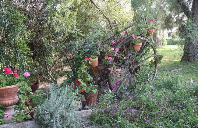 Finca Belon - Foto 11