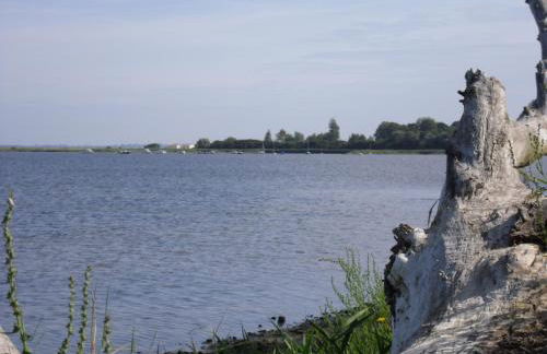 Gemütliche Ferienwohnung unterm Reetdach - Foto 34