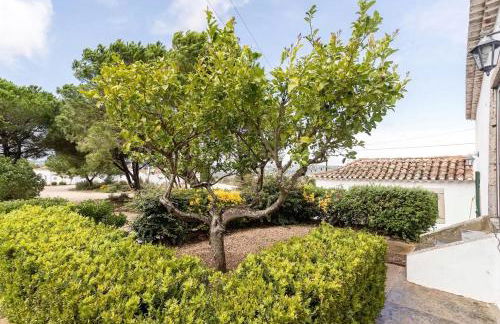 Quinta de Cima,No campo é Assim - Foto 32