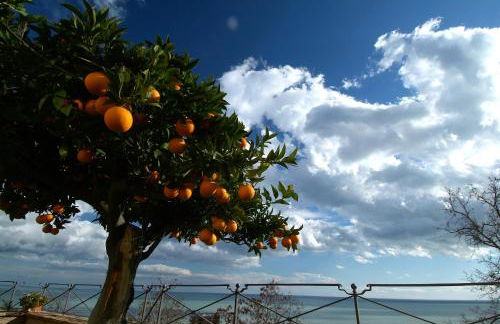 Casa Pazzi Dimora d'Epoca - Foto 33