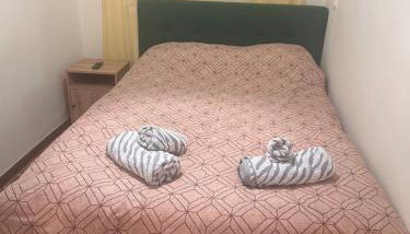 Thea Thermaikou - Foto 2