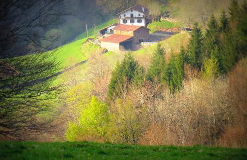 CASA RURAL Urruska - Foto 49