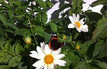 Sunset View one bedroom luxury cottage in an idyllic setting - Foto 52