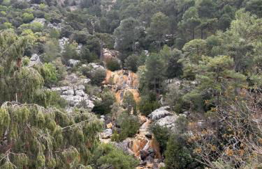 Apartamentos El Madroñal - Foto 53