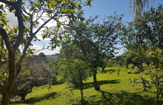 Rústico nas Alturas - Amparo - Photo 12