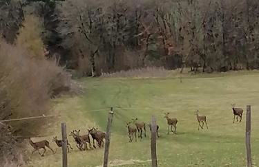 Gîte 4 pers proche cure thermale, Futuroscope, calme et nature à La Roche Posay - Foto 30