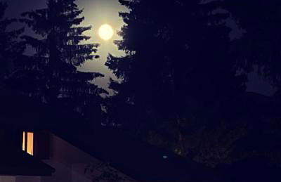 Chalet dell'Orso - Foto 10