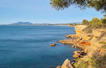 EL NIUET DEL DELTA - Foto 43