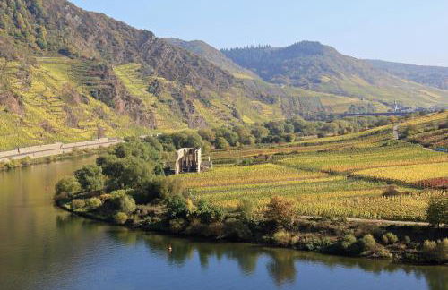 Bernkasteler Moselpanorama - Foto 16