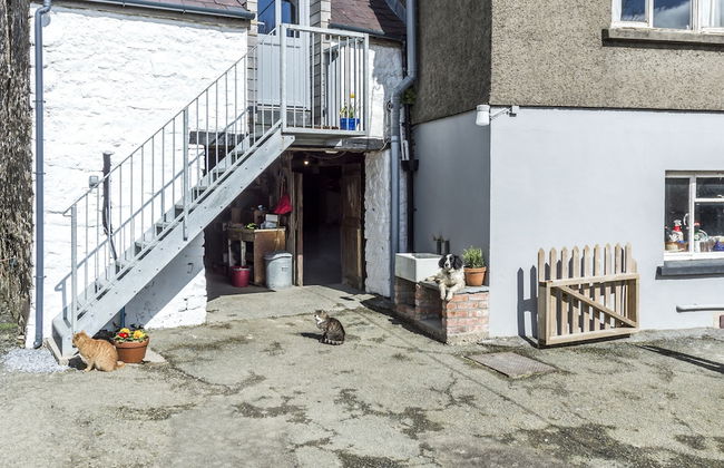 Ashgrove Farm - Llawhaden - Narberth - Foto 31