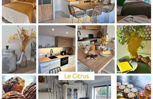Le Citrus - Séjour cosy en plein centre historique - Foto 1