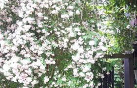 Haus Wagner - Foto 26