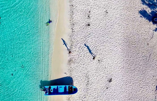 Bahía de las Águilas Speedboat Tour - Photo 8