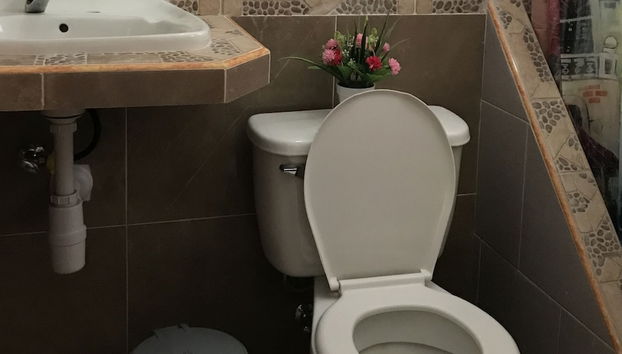 Holiday rental in Viñales with garden and terrace - Foto 5