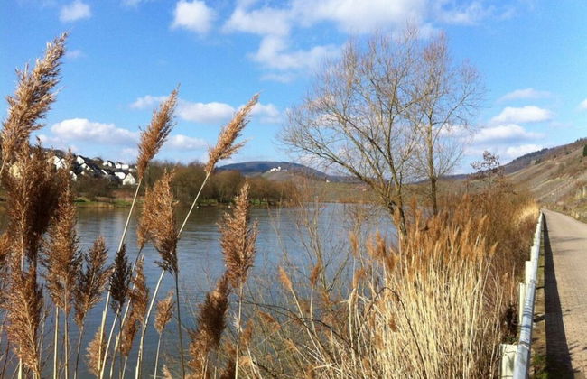 Holiday Apartment Cella - Foto 14