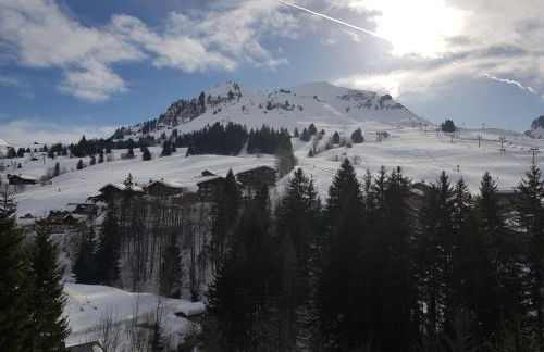 Studio Chinaillon Grand Bornand - Foto 6