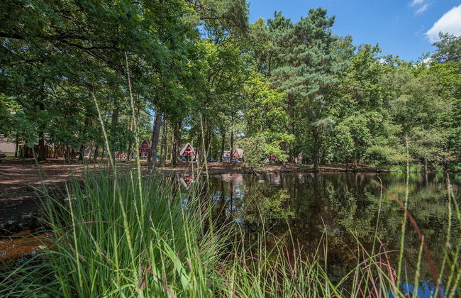 Modern Lodge With Dishwasher, Near Helmond - Photo 14