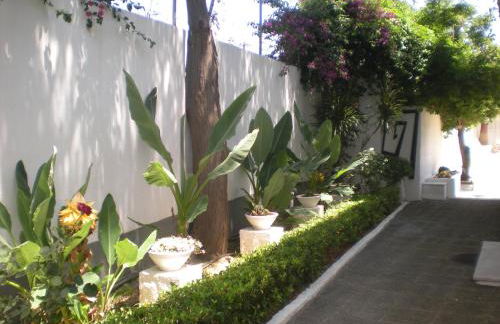 Manolis' House - Foto 48