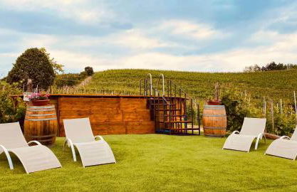 Madama Langa Country House con piscina nelle vigne - Foto 45