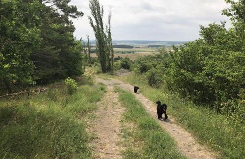 Ferienhaus Hassgautor - Foto 55